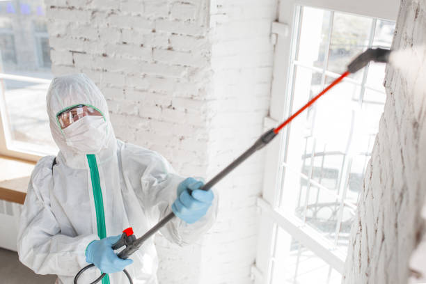 Best Forensic Mold Investigation  in Reedsburg, WI