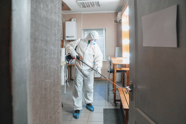 Best Asbestos and Lead Testing During Mold Inspection  in Reedsburg, WI