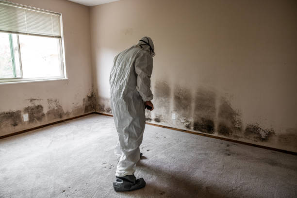 Best Biohazard Mold Removal  in Reedsburg, WI